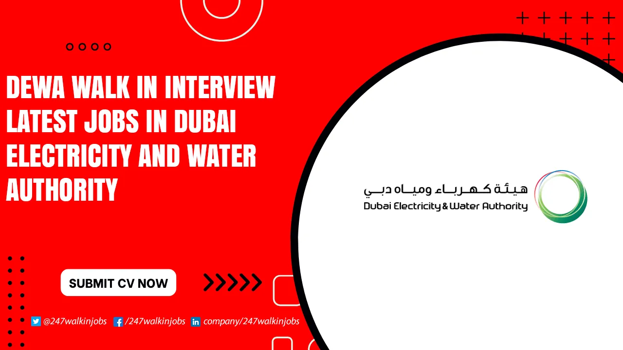 DEWA Careers for Freshers DEWA Walk in Interview