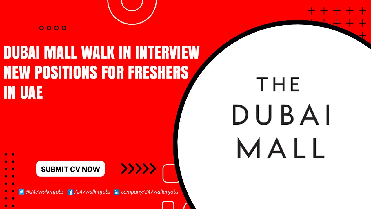 Dubai Mall Walk in Interview